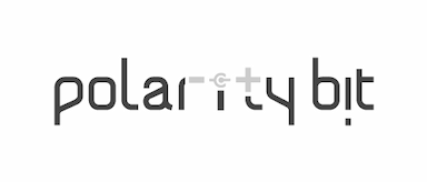 Polaritybit